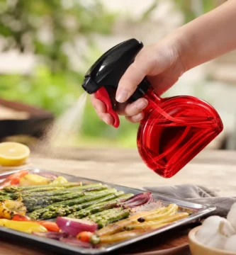 Evo Oil Sprayer 8116RD Evo - Botella pulverizador alimentos airfryer
